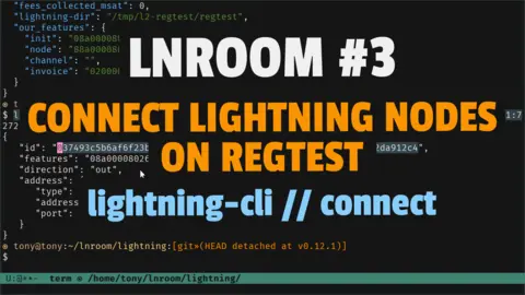 Connect Lightning nodes on regtest with CLN