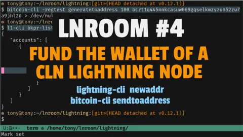 Fund the wallet of a CLN Lightning node running on regtest