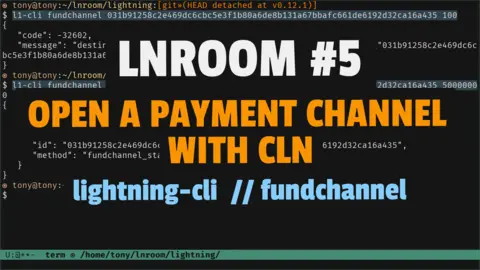 Open a channel between two nodes running on regtest using CLN