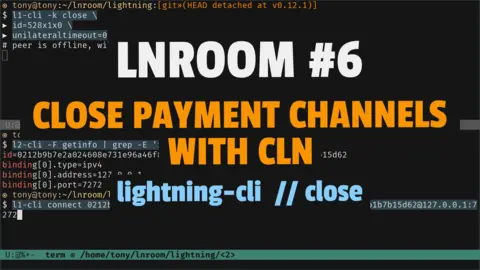 Close payment channels of lightning nodes running on regtest with CLN