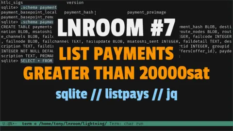 List payments of a CLN lightning node greater than 20000sat