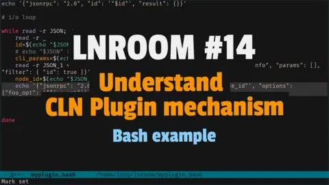 Understand CLN Plugin mechanism with a Bash example