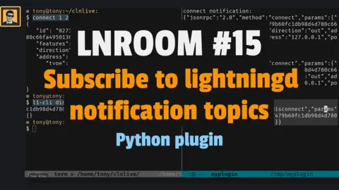 Subscribe to lightningd notification topics with a Python plugin