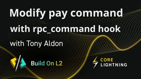 Core lightning rpc_command hook, pay command and BOLT11 invoice